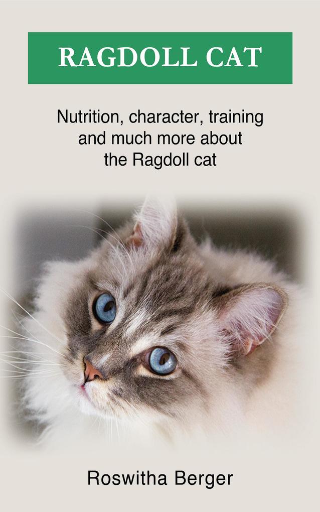Ragdoll cat