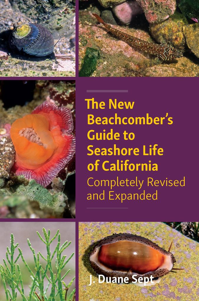 The New Beachcomber‘s Guide to Seashore Life of California: Completely Revised and Expanded