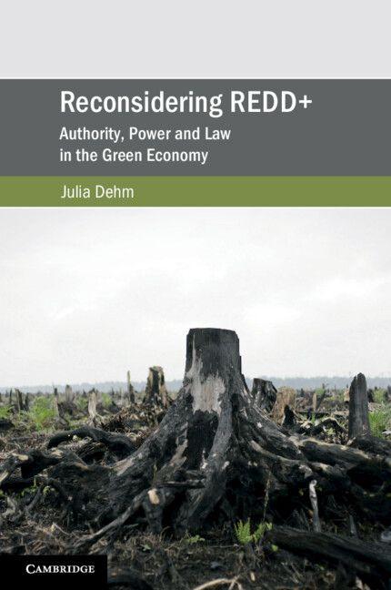 Reconsidering REDD+