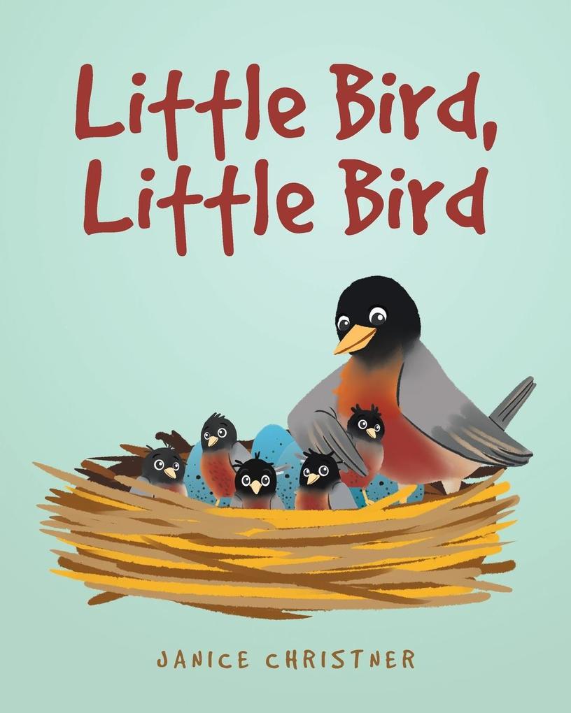 Little Bird Little Bird