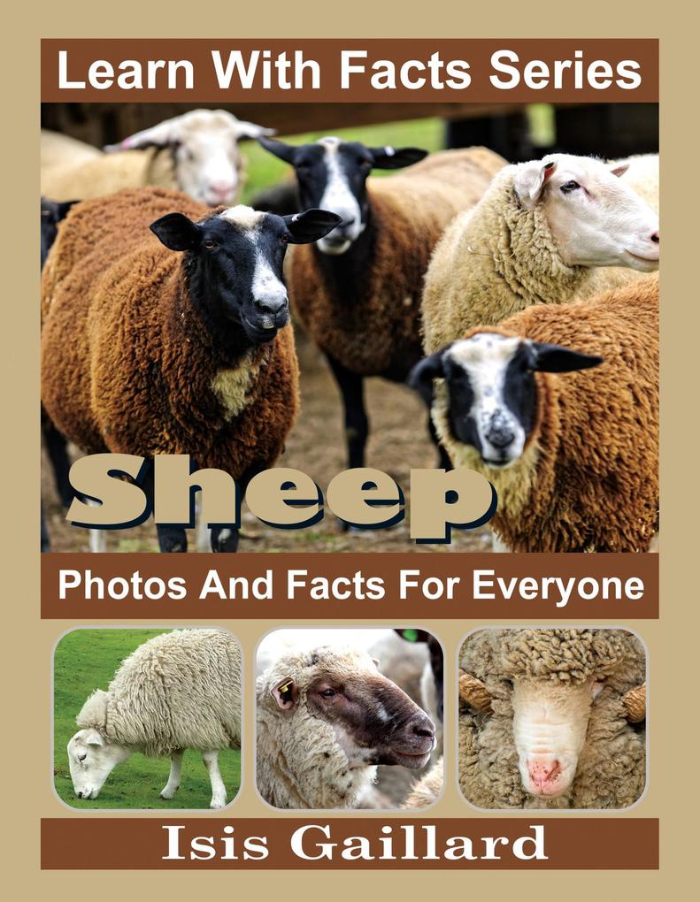 Sheep Photos and Facts for Everyone (Learn With Facts Series #95)