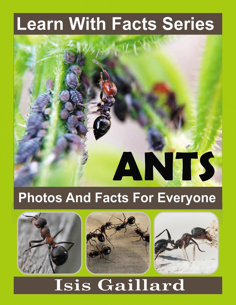 Ant Photos and Facts for Everyone (Learn With Facts Series #133)
