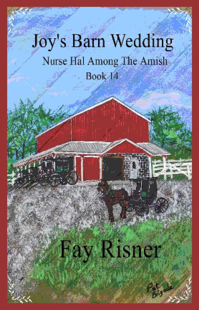 Joy‘s Barn Wedding (Nurse Hal Among The Amish #14)