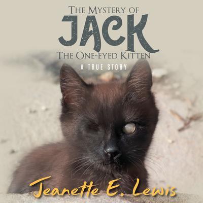The Mystery of Jack the One-Eyed Kitten