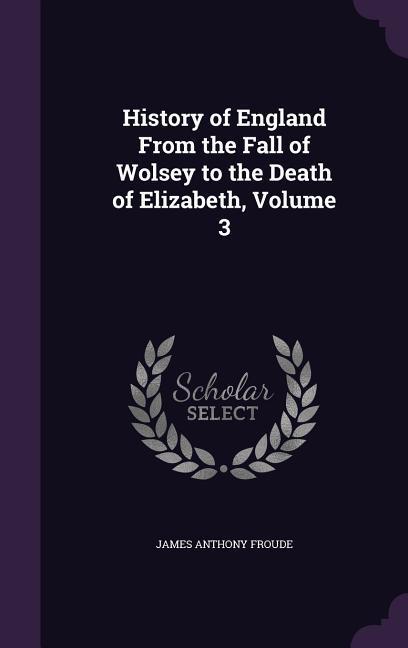 History of England From the Fall of Wolsey to the Death of Elizabeth Volume 3