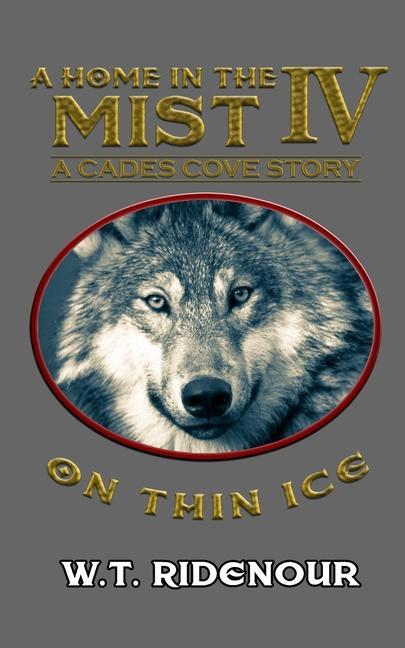 A Home in The Mist IV: On Thin Ice