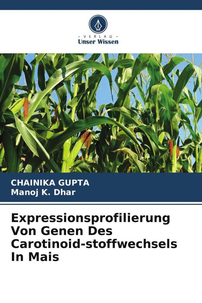 Expressionsprofilierung Von Genen Des Carotinoid-stoffwechsels In Mais