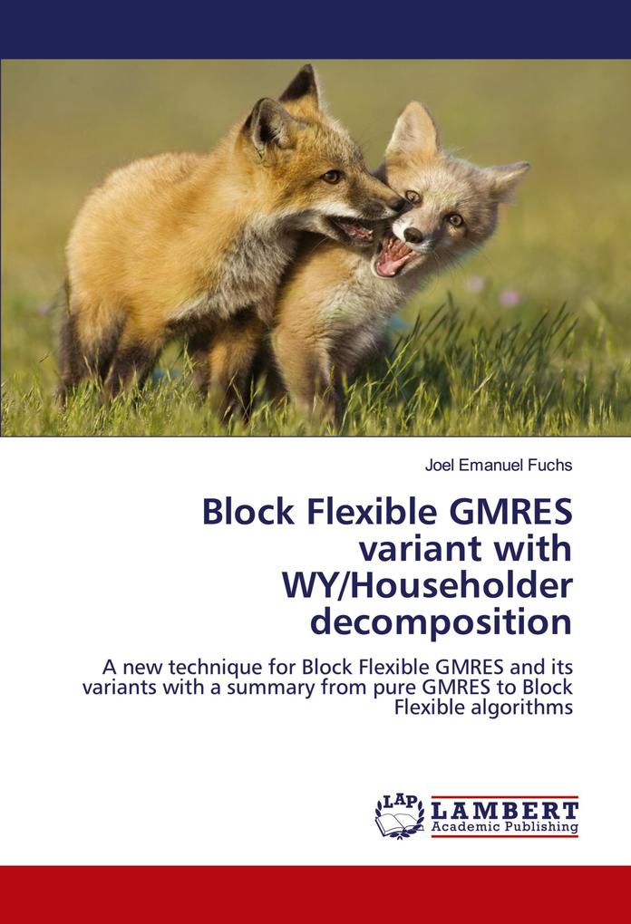 Block Flexible GMRES variant with WY/Householder decomposition
