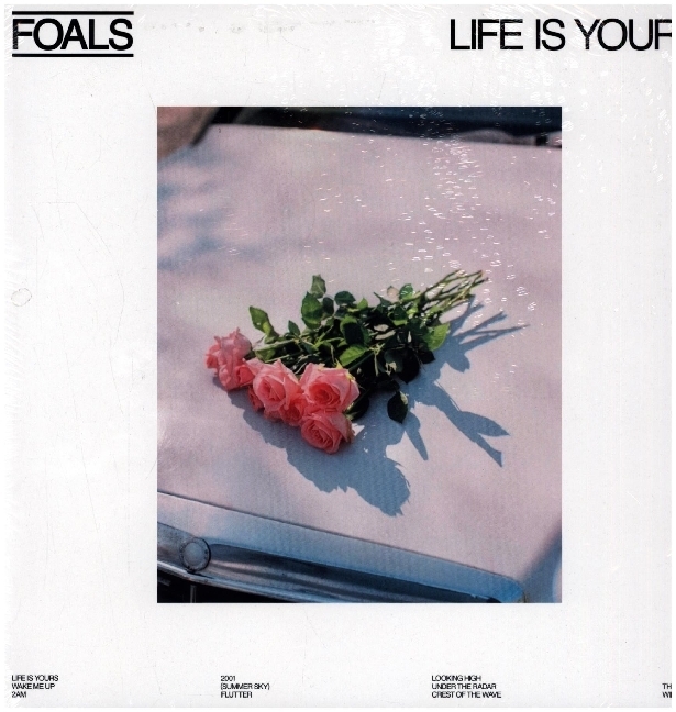 Life Is Yours