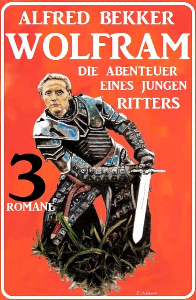 Wolfram - die Abenteuer eines jungen Ritters: 3 Romane