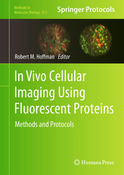In Vivo Cellular Imaging Using Fluorescent Proteins
