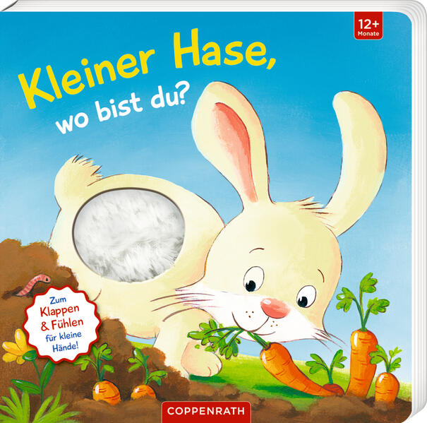 Image of Mein erstes Guckloch-Fühlbuch: Kleiner Hase wo bist du?