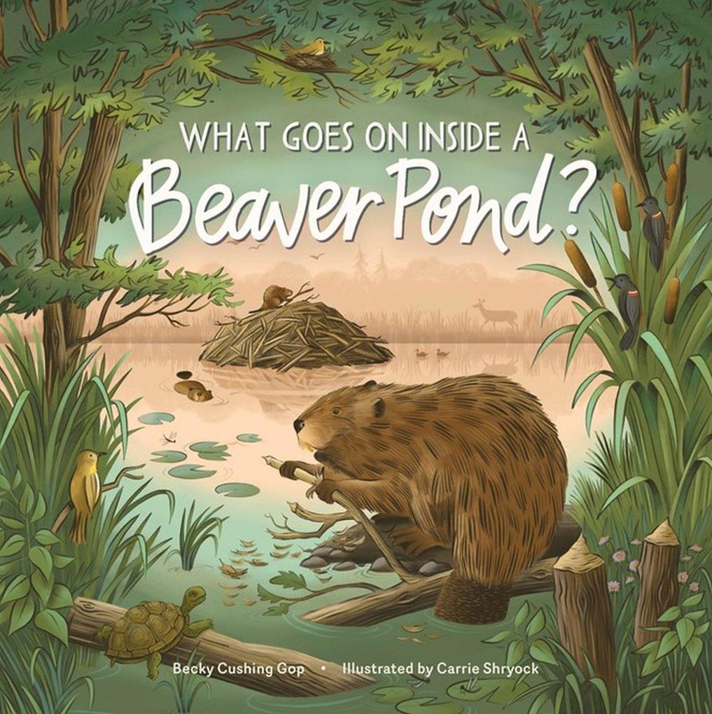 What Goes on Inside a Beaver Pond?