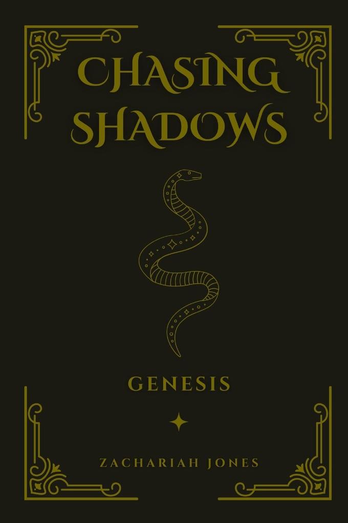 Chasing Shadows