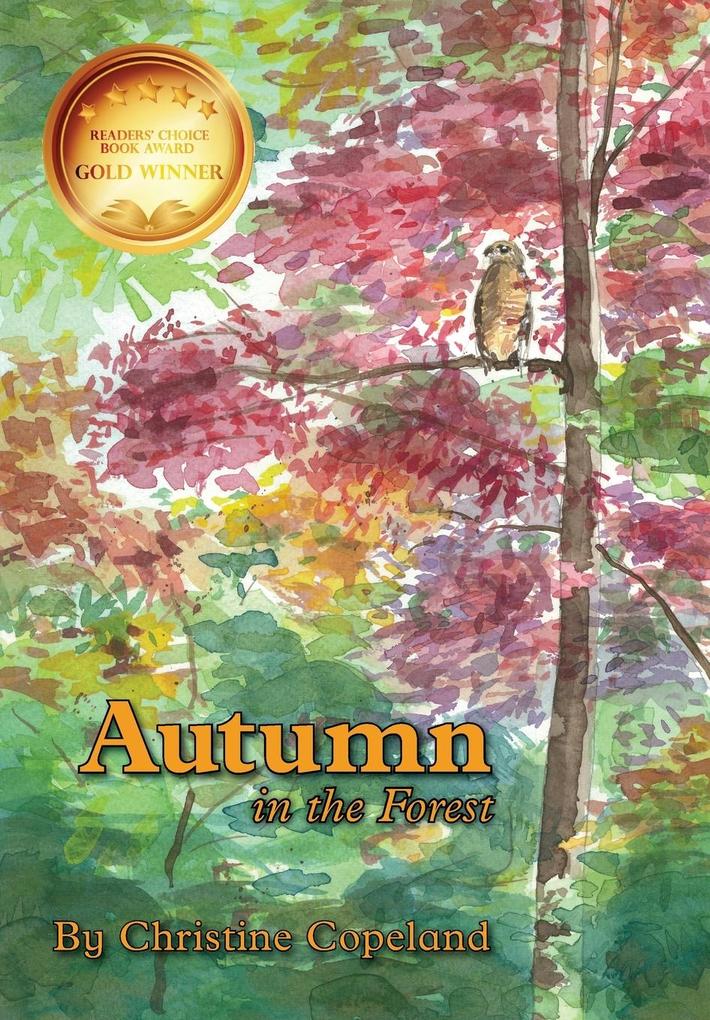 Image of Autumn in the Forest