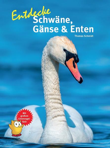 Entdecke Schwäne Gänse & Enten