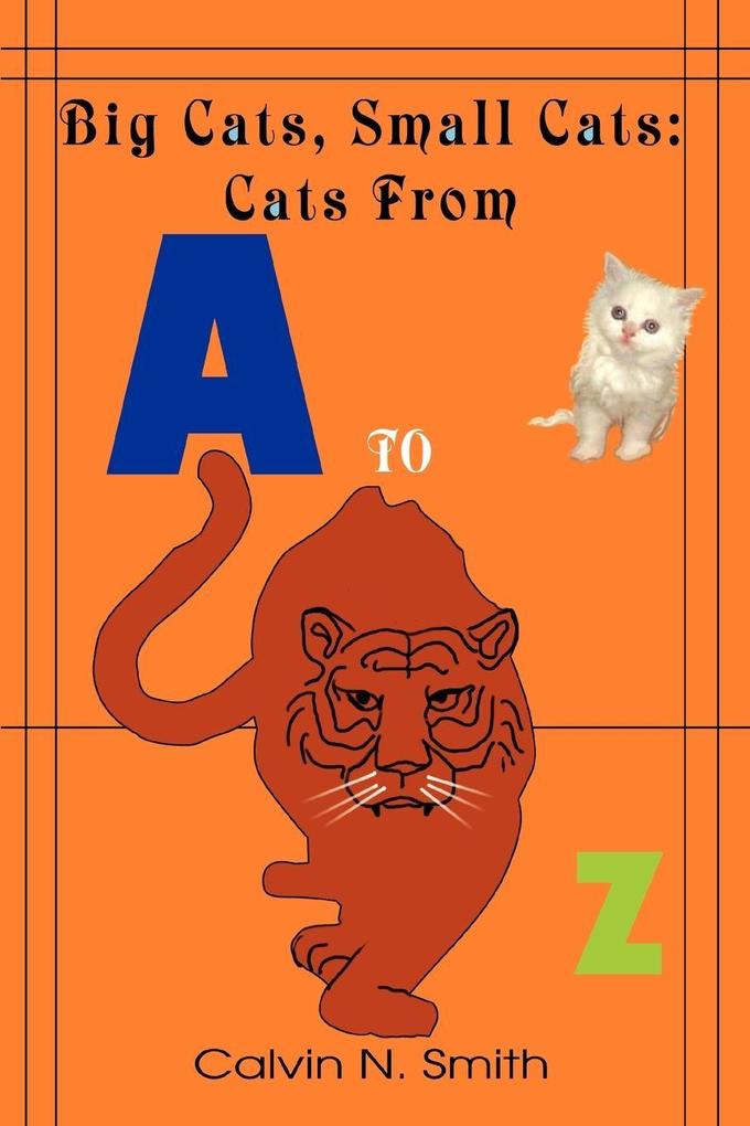 Big Cats Small Cats