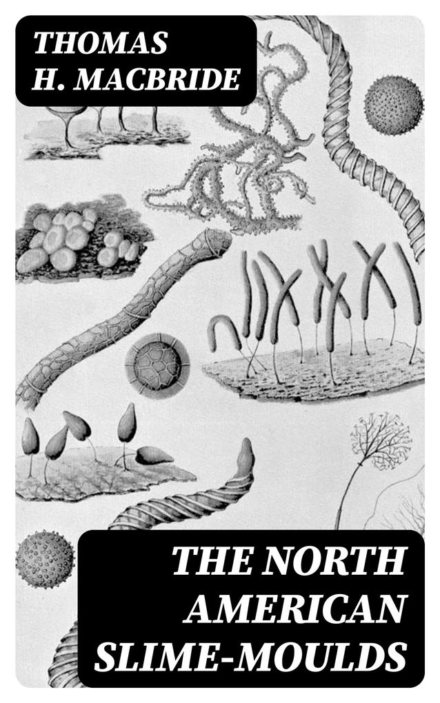 The North American Slime-Moulds