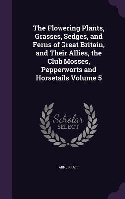 The Flowering Plants Grasses Sedges and Ferns of Great Britain and Their Allies the Club Mosses Pepperworts and Horsetails Volume 5