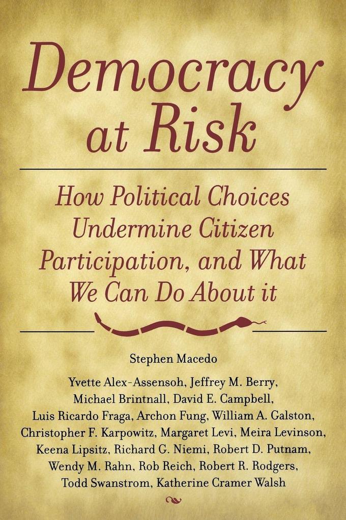Democracy at Risk
