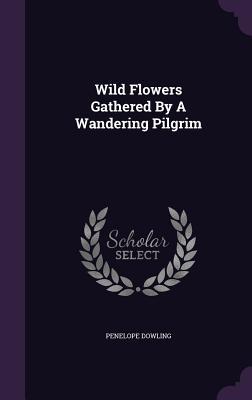 Wild Flowers Gathered By A Wandering Pilgrim