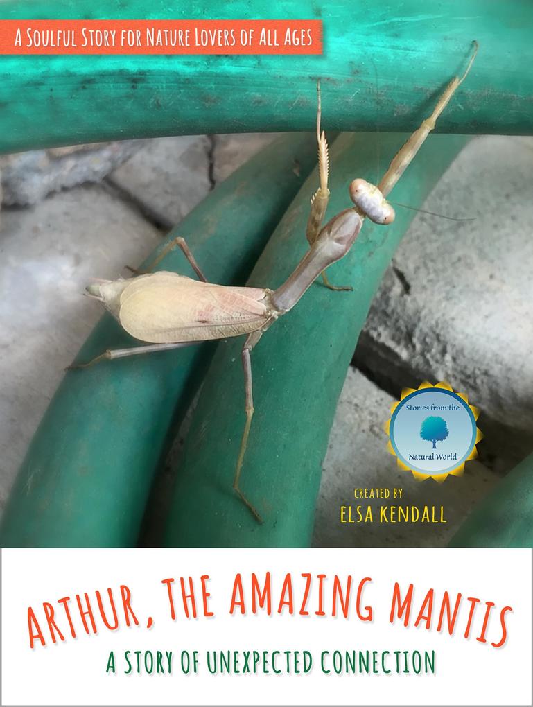 Arthur The Amazing Mantis: A Story of Unexpected Connection (Stories From The Natural World #1)