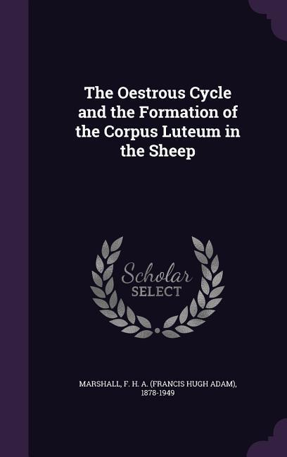 The Oestrous Cycle and the Formation of the Corpus Luteum in the Sheep