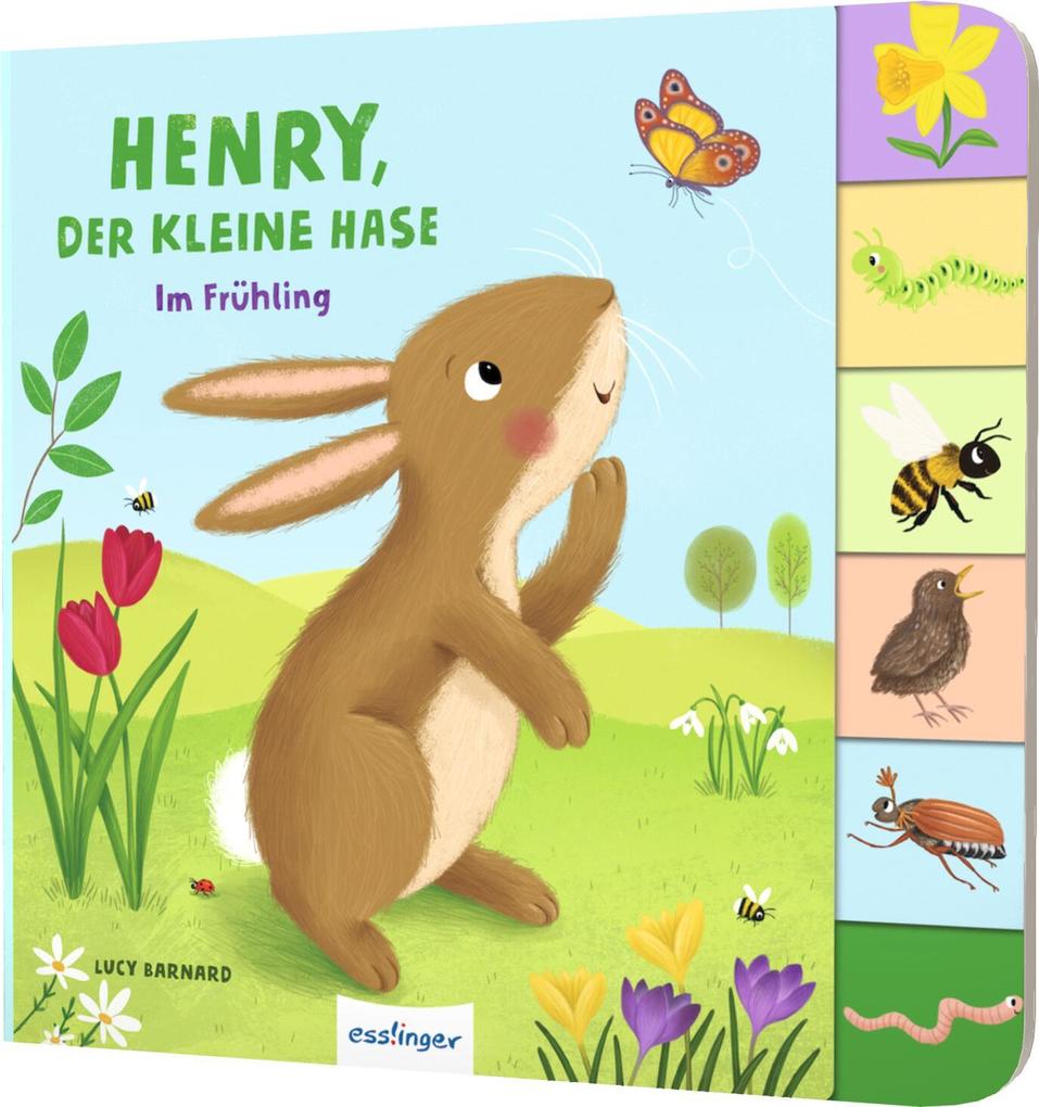 Mein erstes Jahreszeitenbuch: Henry, der kleine Hase: Im Frühling | Pappebuch mit Griff-Register - Bild 5
