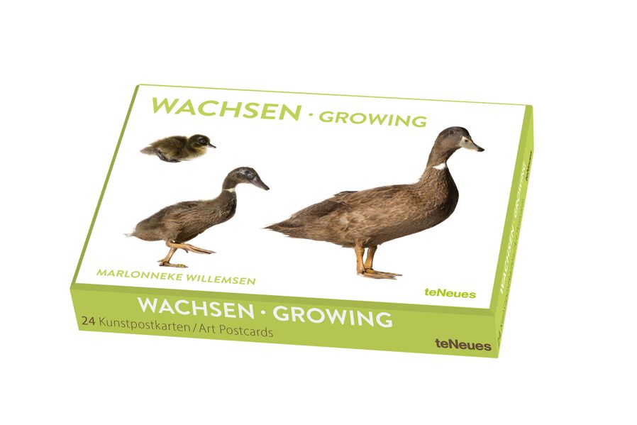 Wachsen Kunstkartenbox