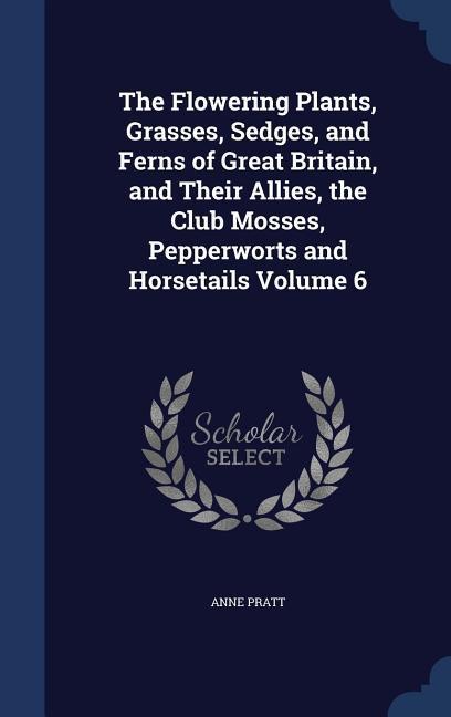The Flowering Plants Grasses Sedges and Ferns of Great Britain and Their Allies the Club Mosses Pepperworts and Horsetails Volume 6
