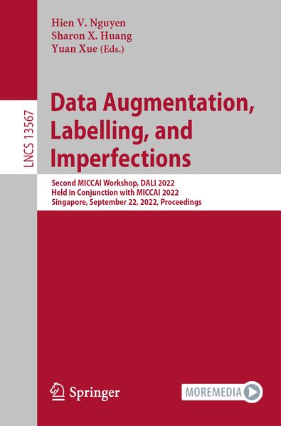 Data Augmentation Labelling and Imperfections