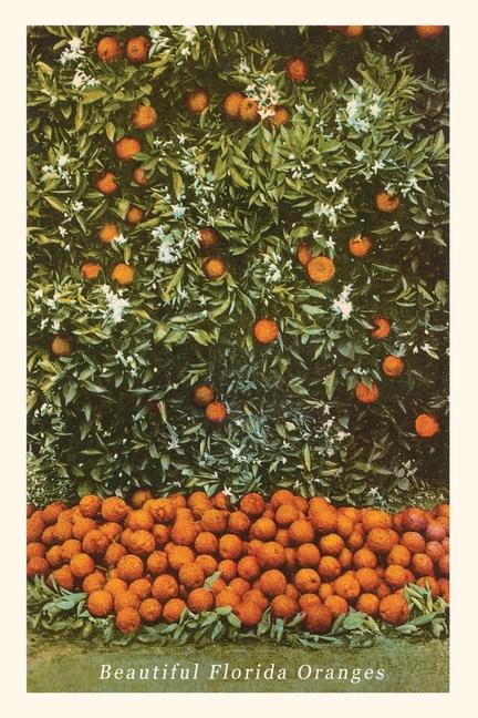 Vintage Journal Oranges Florida