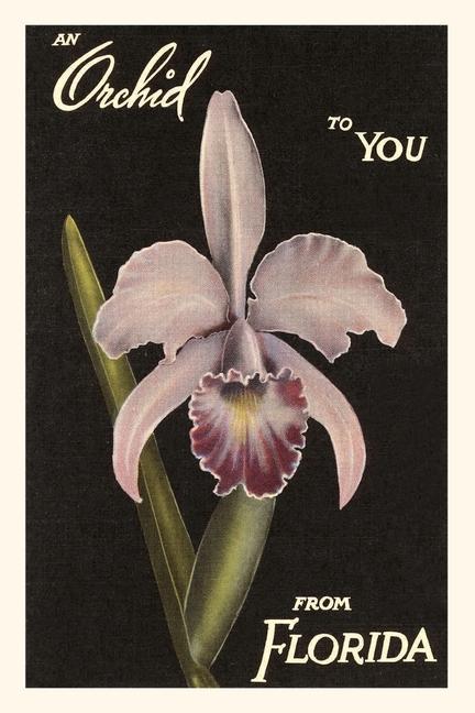 Vintage Journal Orchid from Florida