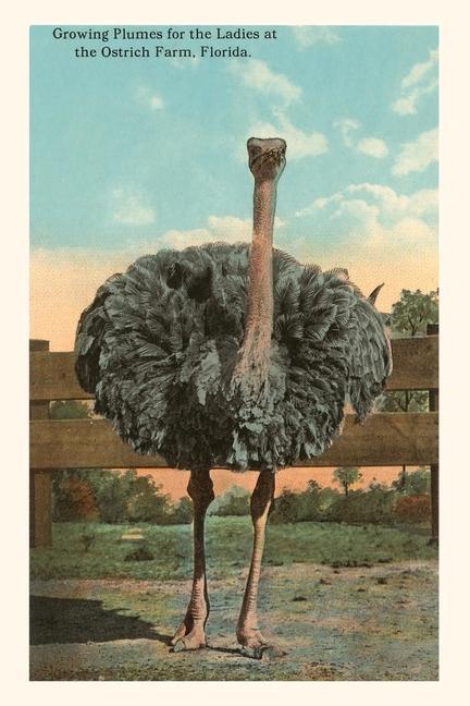 Vintage Journal Ostrich Florida