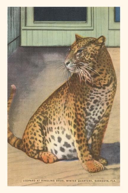 Vintage Journal Leopard Sarasota Florida
