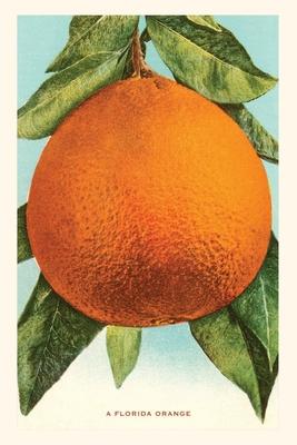 Vintage Journal Florida Orange