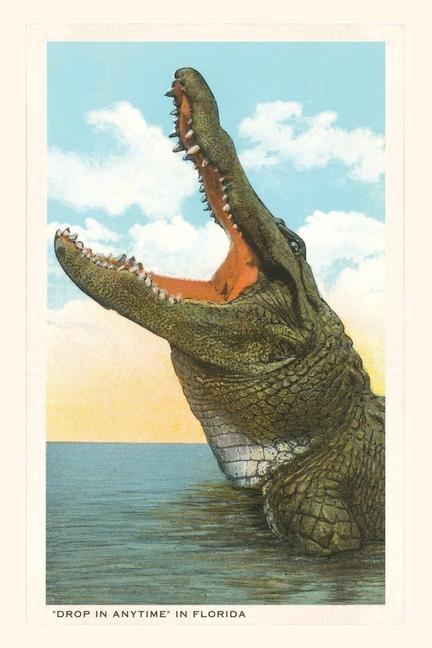 Vintage Journal Drop in Any Time Alligator Florida