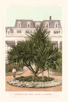 Vintage Journal Screw Pine Tree Miami Florida