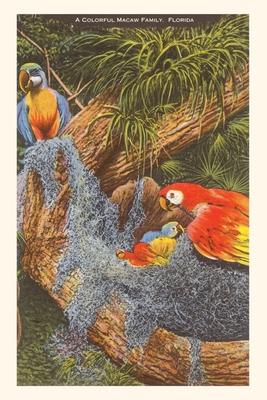 Vintage Journal Macaws Florida