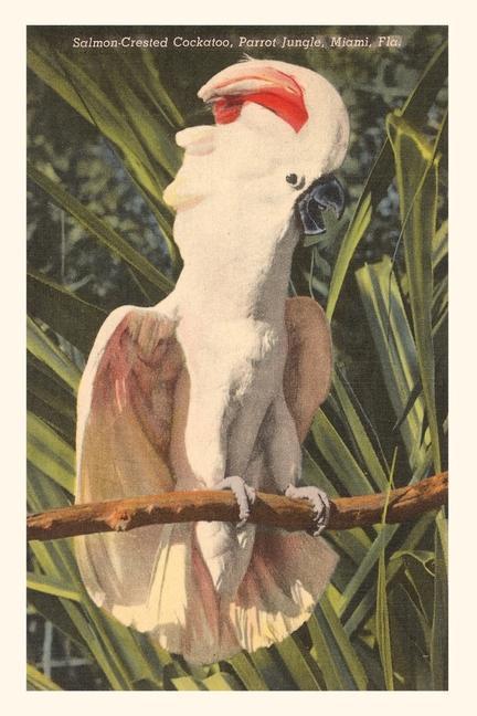 Vintage Journal Salmon-Crested Cockatoo Florida