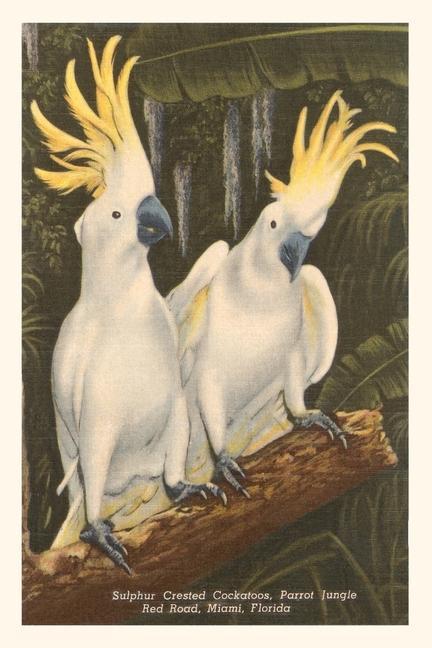 Vintage Journal Sulfur-Crested Cockatoos Miami Florida