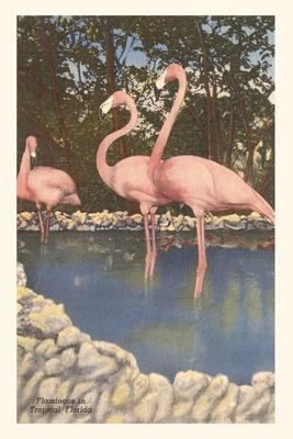 Vintage Journal Flamingos Florida