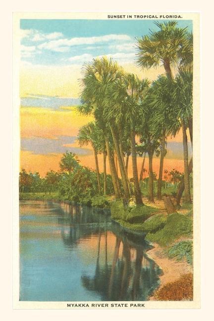 Vintage Journal Sunset in Tropical Florida Myakka River State Park