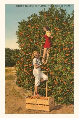 Vintage Journal Women Picking Oranges Florida