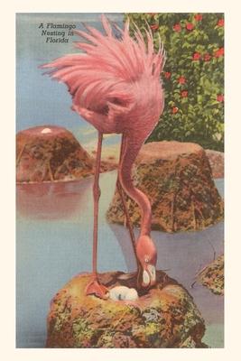 Vintage Journal Flamingo Nesting in Florida