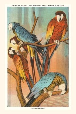Vintage Journal Macaws Sarasota Florida