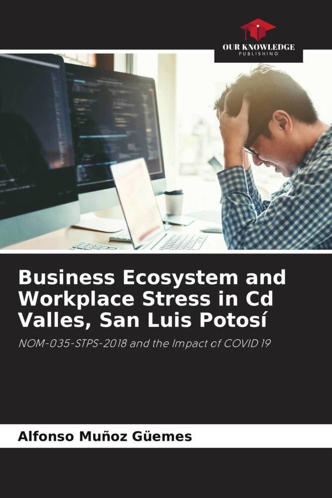 Business Ecosystem and Workplace Stress in Cd Valles San Luis Potosí