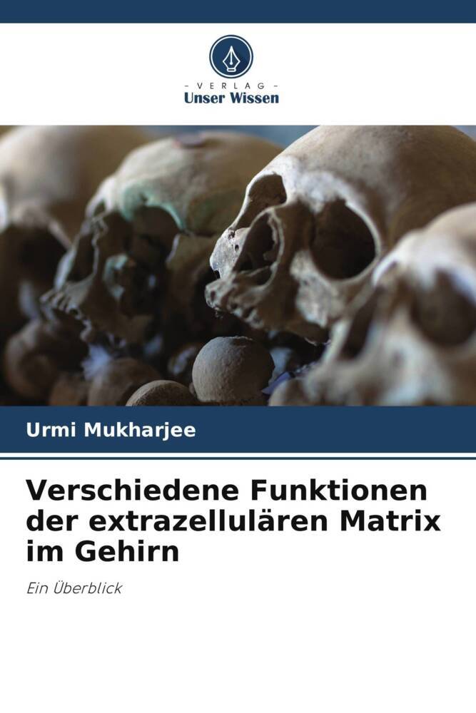 Verschiedene Funktionen der extrazellulären Matrix im Gehirn