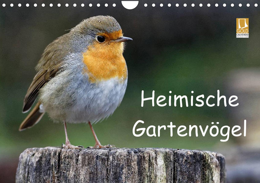 Heimische Gartenvögel (Wandkalender 2023 DIN A4 quer) - Dieter Wilczek