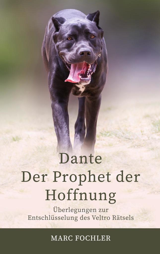 Dante Der Prophet der Hoffnung